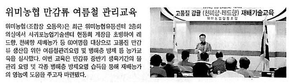 위미농협 만감류 여름철 관리교육[한라일보, 7. 2]